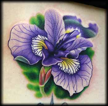 Looking for unique  Tattoos? purple iris